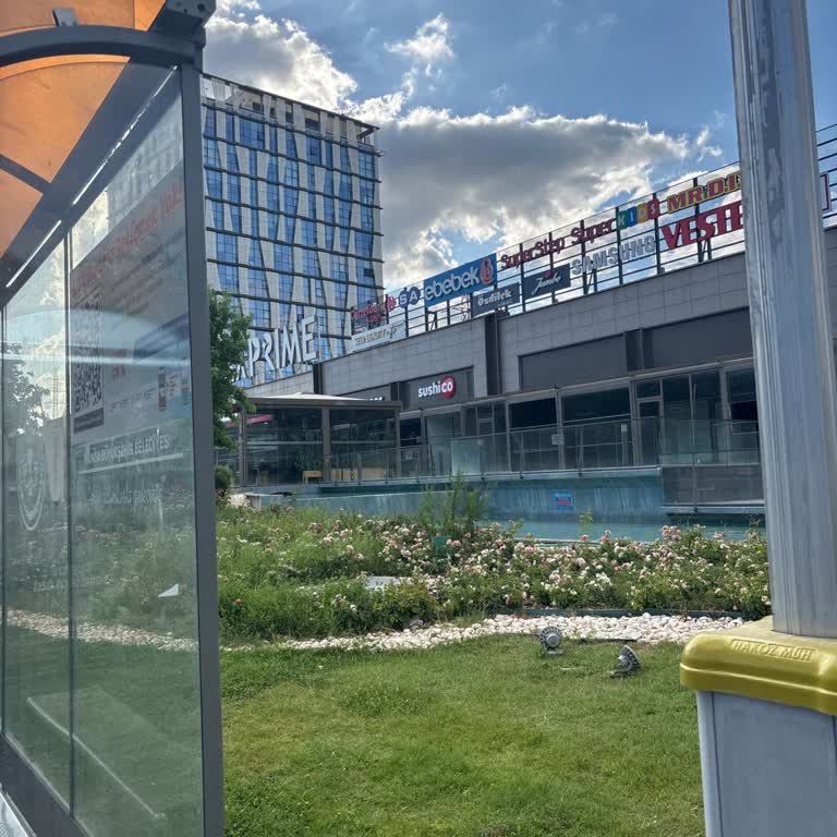 Havaş Otobüsünün Durağa Uğramaması Nedeniyle Uçak Kaçırma Mağduriyeti