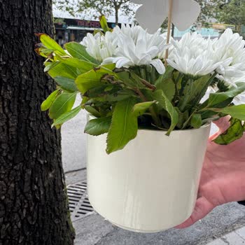 Çiçeklerin Kalitesi Ve Fiyatı Hayal Kırıklığı Yarattı