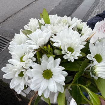 Çiçeklerin Kalitesi Ve Fiyatı Hayal Kırıklığı Yarattı