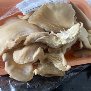 Aldığımız Ürünlerin Hepsi Küflü Ve Tarihi Geçmiş Çıktı