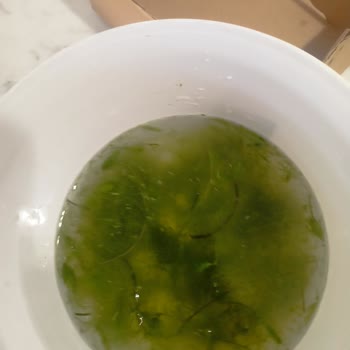 Siparişim Eksik Ve Kötü Durumda Teslim Edildi