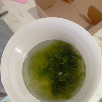 Siparişim Eksik Ve Kötü Durumda Teslim Edildi