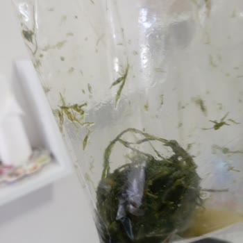 Siparişim Eksik Ve Kötü Durumda Teslim Edildi