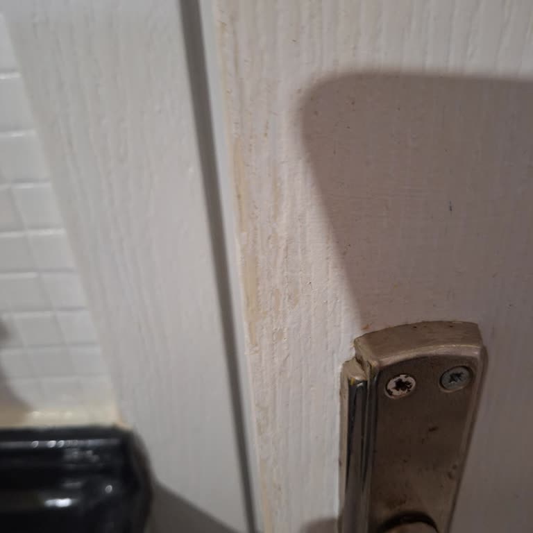 Polisan X1 Panel Kapı Boyasında Beklenmedik Dökülme Sorunu