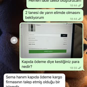 Hızlı Kargo Ve Ödeme Seçeneklerinde Yaşanan Sorunlar, Yetersiz Müşteri Desteği