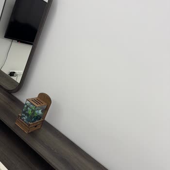 Mobilya Teslimatı Ve Kurulumunda Yaşanan Sürekli Sorunlar