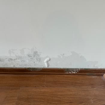 Yanlış Oda Verilmesi Ve Oda Temizliği Sorunu