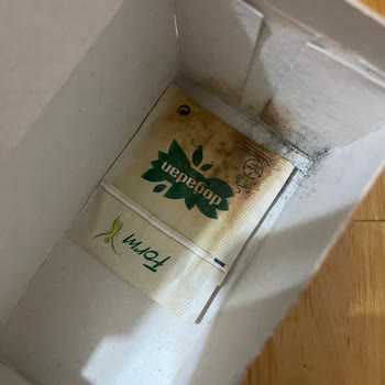 Aldığım Bitki Çayında Küf Çıkması Güvenimi Sarstı