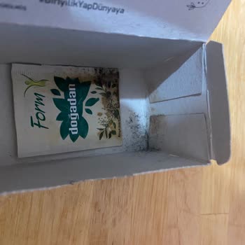 Aldığım Bitki Çayında Küf Çıkması Güvenimi Sarstı