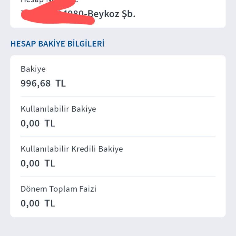 Hesap Bakiyesi Aniden Sıfırlandı, Müşteri Hizmetleri Yardımcı Olmuyor