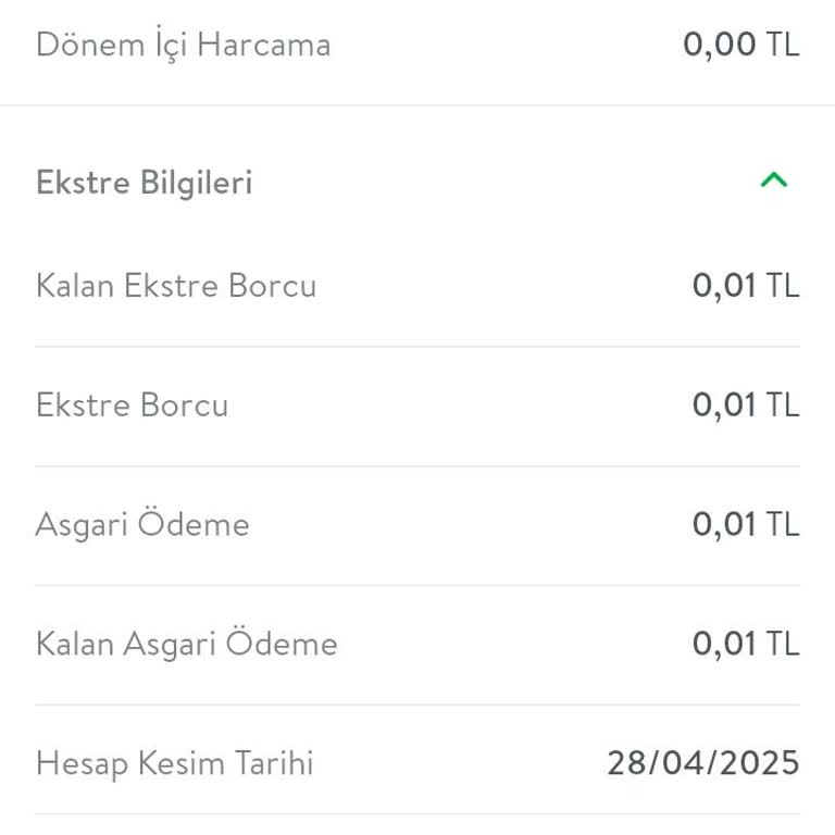 Kapatılan Kredi Kartında Unutulan Borç Yıllarca Mağdur Etti