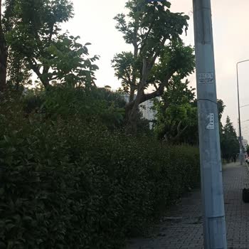 Gevşemiş Tabela Yaya Güvenliğini Tehdit Ediyor: Acil Müdahale Bekleniyor