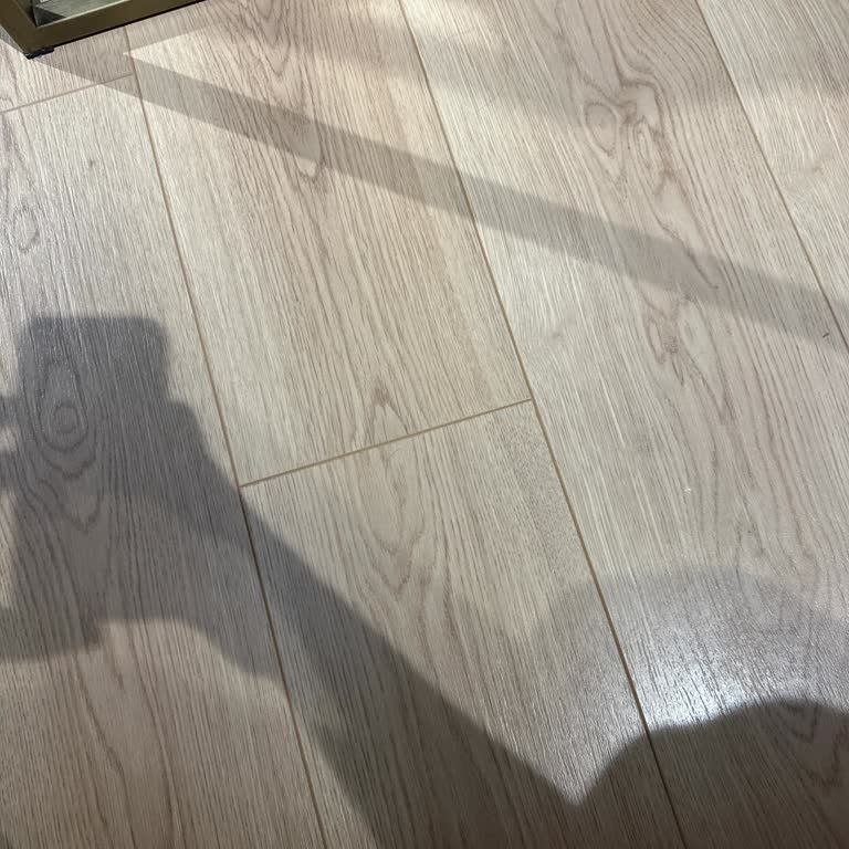 Kayıp JBL Kulaklığım İçin Acil Destek Talep Ediyorum