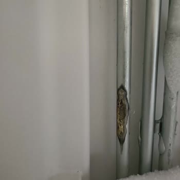 Profilo Dondurucu Raflarında Paslanma Ve Ücretli Değişim Talebi