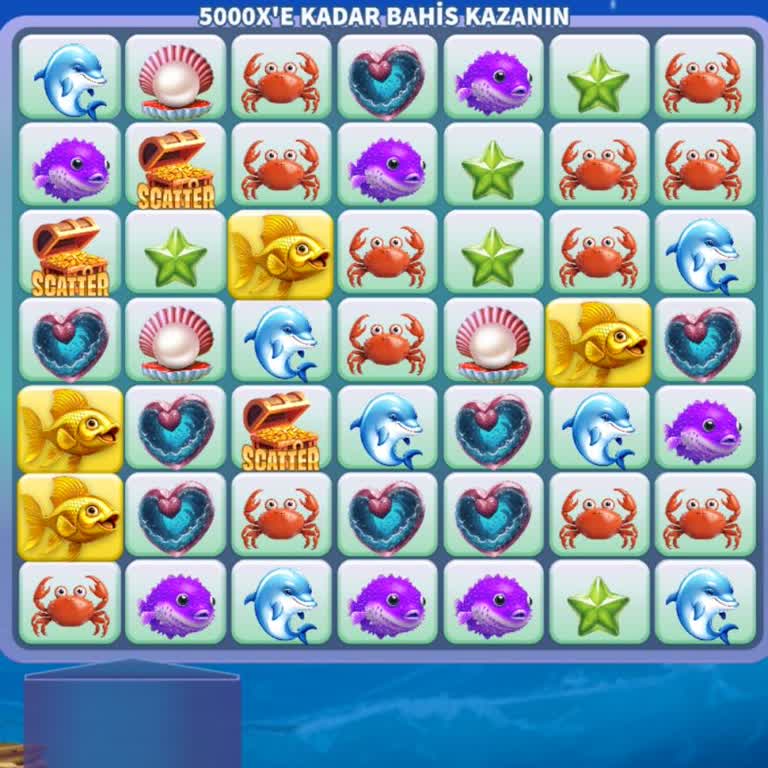 Bonus Bakiyem Hesabımda Görünmüyor, Destek Alamadım