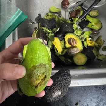 Olgunlaşmadan Küflenen Avokadolar Ve Yetersiz Müşteri Yaklaşımı Mağduriyet Yarattı