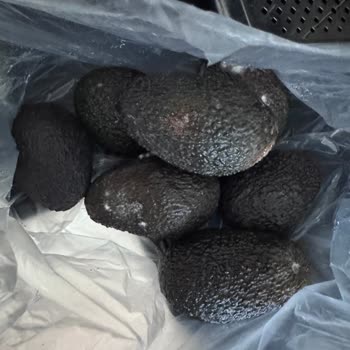 Olgunlaşmadan Küflenen Avokadolar Ve Yetersiz Müşteri Yaklaşımı Mağduriyet Yarattı