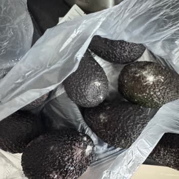 Olgunlaşmadan Küflenen Avokadolar Ve Yetersiz Müşteri Yaklaşımı Mağduriyet Yarattı