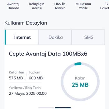 Kullanılabilir İnternet Hakkı Olmasına Rağmen Fatura Aşımlı Geldi