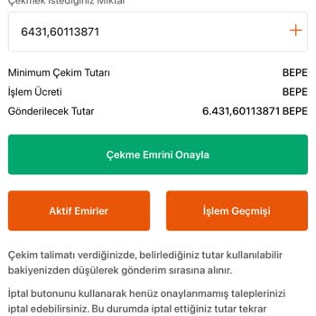 Bilgilendirme Yapılmadan Coinlerin İşleme Kapatılması Ve Transfer Sorunları