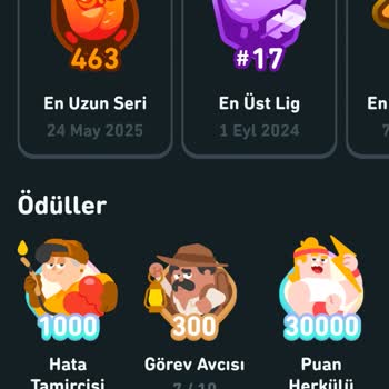 Duolingo Serimi Haksız Yere Kaybettim, Seçenekler Sunulmadı