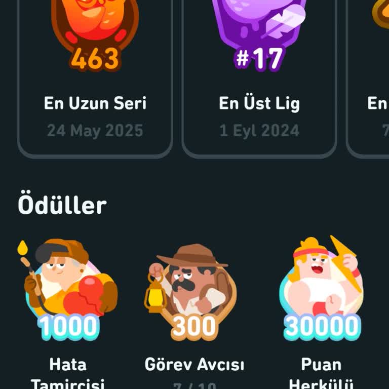 Duolingo Serimi Haksız Yere Kaybettim, Seçenekler Sunulmadı