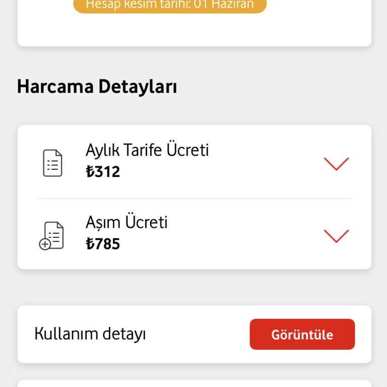 Fatura Tutarı Sürekli Artıyor, İnternet Yetmiyor