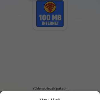 Uygulamada Sürekli Hata Ve İnternet Yükleme Sorunu