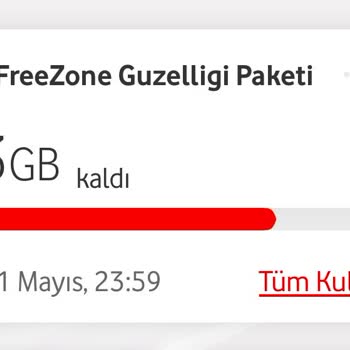 İzin Dışında Otomatik Aşım Paketi Tanımlanması Ve Hatalı İnternet Kullanımı