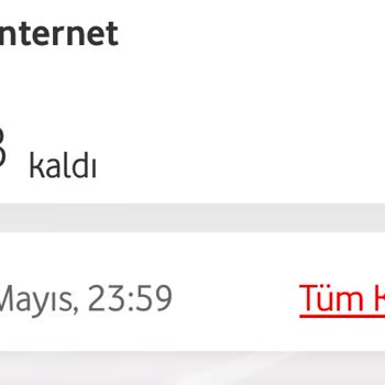 İzin Dışında Otomatik Aşım Paketi Tanımlanması Ve Hatalı İnternet Kullanımı