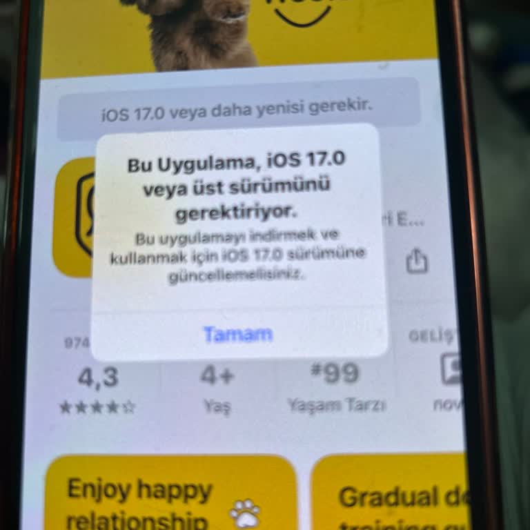 Bilgim Dışında Yenilenen Abonelik Ve Haksız Para Çekimi