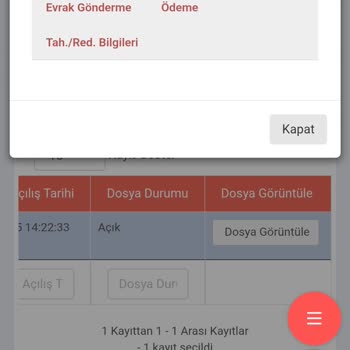 Ödenmiş Borç İçin Yeniden Borç Çıkarılması Ve Yanlış Dosya İşlemleri