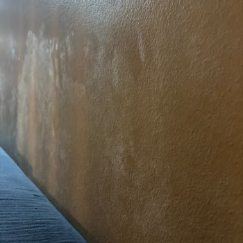 Yeni Boyanan Duvarlarda Beklenmedik Sorun