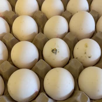 Küflü Ve Bozuk Yumurta Teslimatı, Son Kullanma Tarihi Yok!