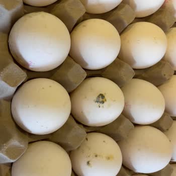 Küflü Ve Bozuk Yumurta Teslimatı, Son Kullanma Tarihi Yok!