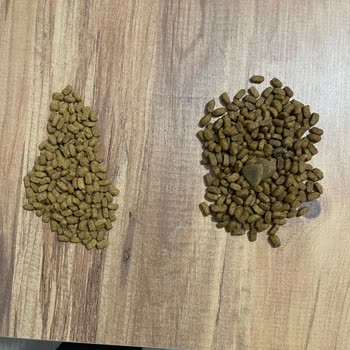 Sahte Kedi Maması Ve İade Sürecinde Yaşanan Sorunlar