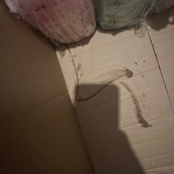 Siparişlerde Sürekli Dökülen Ürünler Ve Yapış Yapış Paket Sorunu