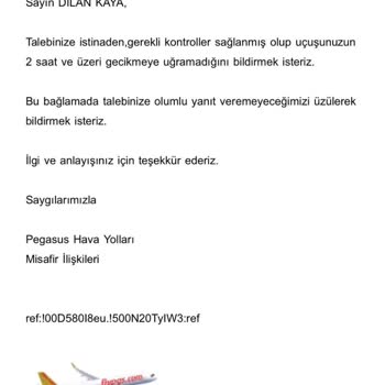 Pegasus'un Sistem Hatası Nedeniyle Uçağıma Alınmadım, Mağdur Edildim