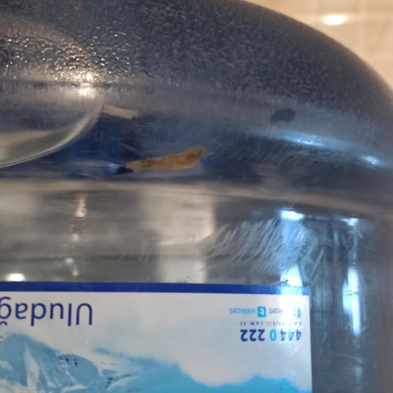 Damacana Suda Yabancı Madde Ve 5 Aydır Sonuçsuz Analiz Raporu Bekleyişi