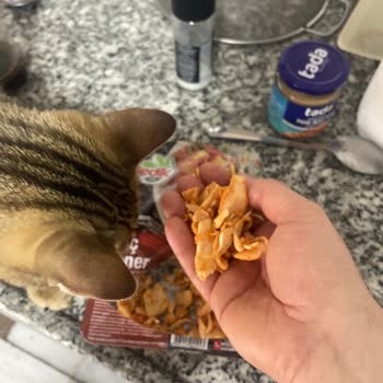 Gedik Piliç Tavuk Dönerinin Lezzet Ve Kalite Sorunu