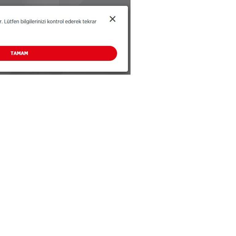 Kurumsal Hesaba Erişim Sorunu Ve Yetersiz Destek