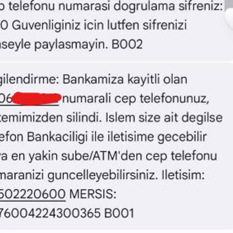 ING Bankası'na Ulaşılamıyor, Taksit Ödemesi Yapılamıyor Ve Mağduriyet Yaşıyorum