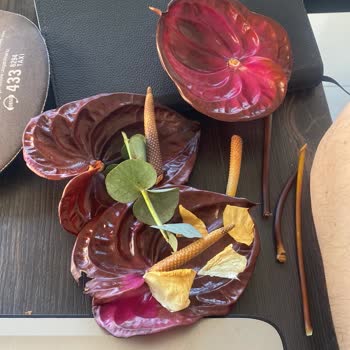 Aldığım Çiçekler 2 Günde Soldu, Param Boşa Gitti