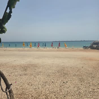 Yeni İşletmemize Tuborg'dan Destek Sağlanmıyor