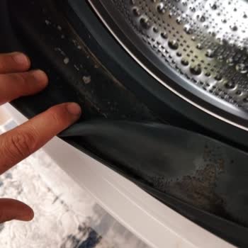 Profilo Çamaşır Makinesi Kapak Lastiği Küflenmesi Ve Yetersiz Servis Hizmeti