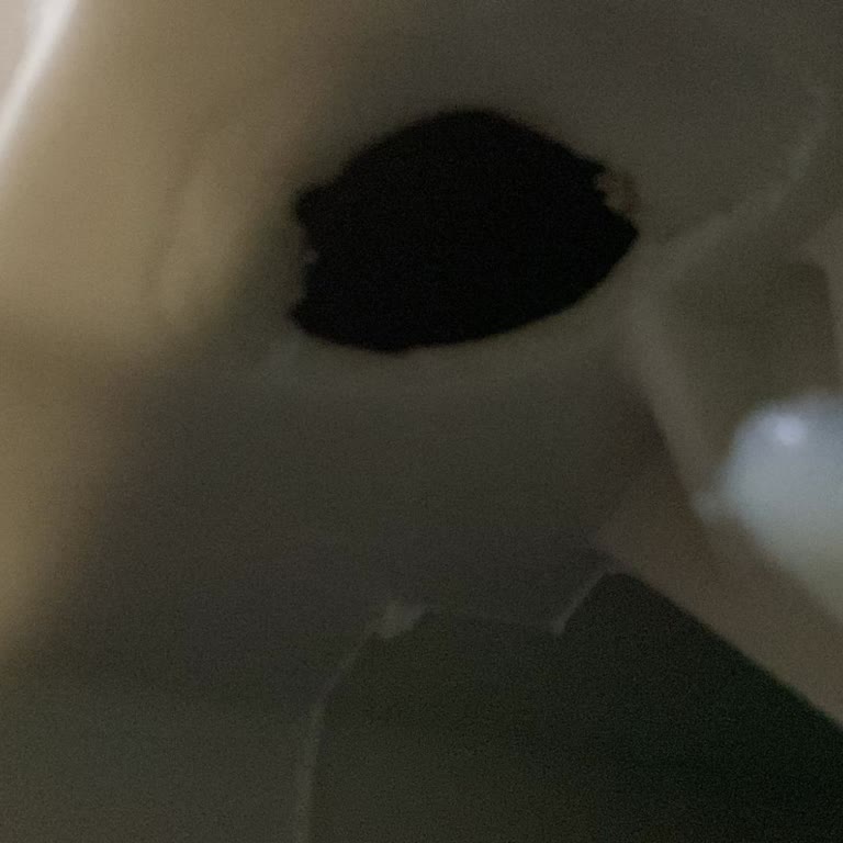 LG Çamaşır Makinesi Kazanında Delik Ve Garanti Sorunu