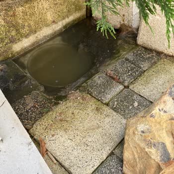 Bahçedeki Ve Dairedeki Gider Taşması Sorunu Çözülemiyor