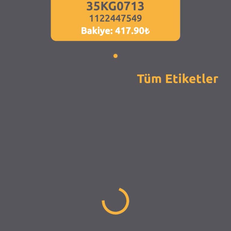 HGS Kayıt Yok Hatası Veriyor