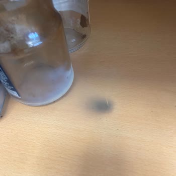 Sinbo Tost Makinesi Patladı, Güvenlik Endişesi Yaşadım