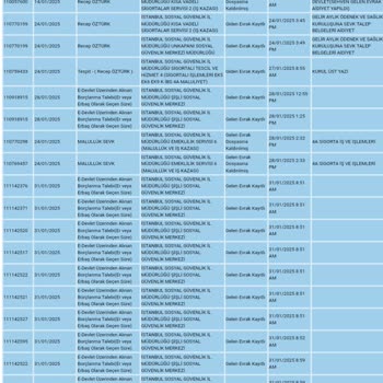 Engelli Emeklilik Sürecinde Bilgilendirme Ve İletişim Eksikliği